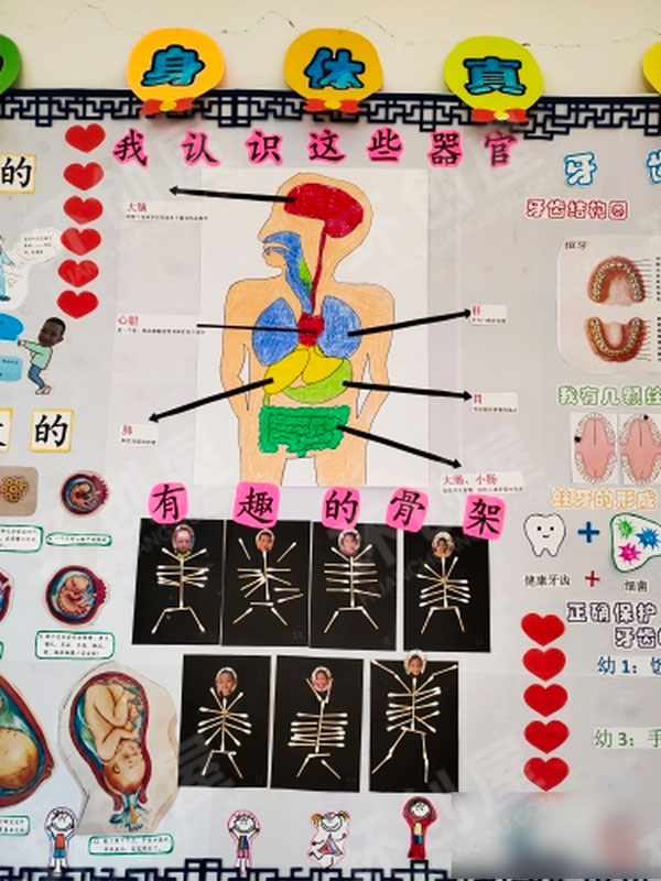 幼儿园综合区环创我的身体图片