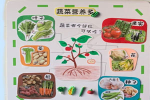幼儿园蔬菜一族主题墙环创图片5张