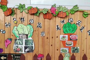 幼儿园作品展示蔬菜的秘密环创图片8张
