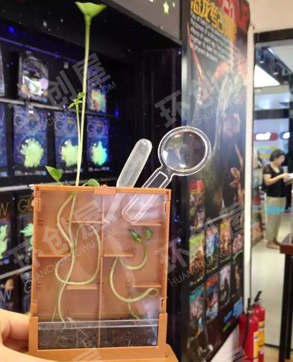 幼儿园科学区植物迷宫大战图片
