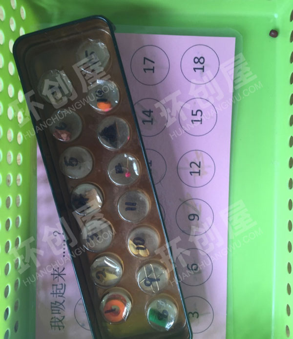 幼儿园科学区磁铁玩具图片
