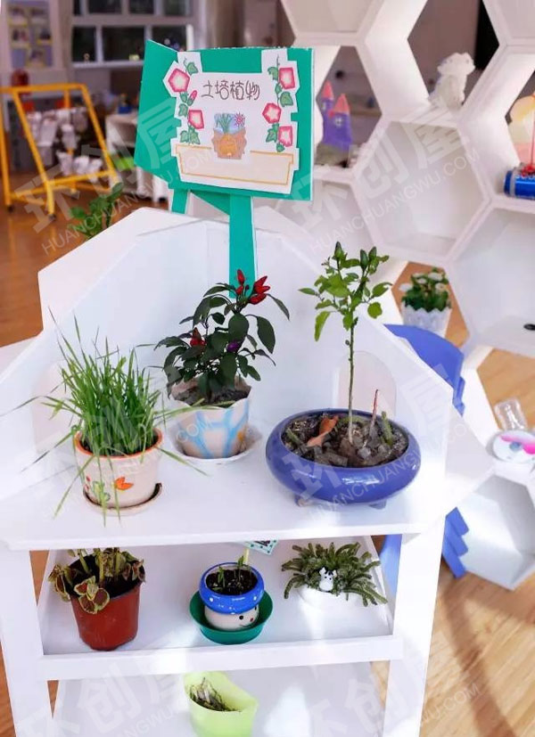 幼儿园科学区生命科学主题图片