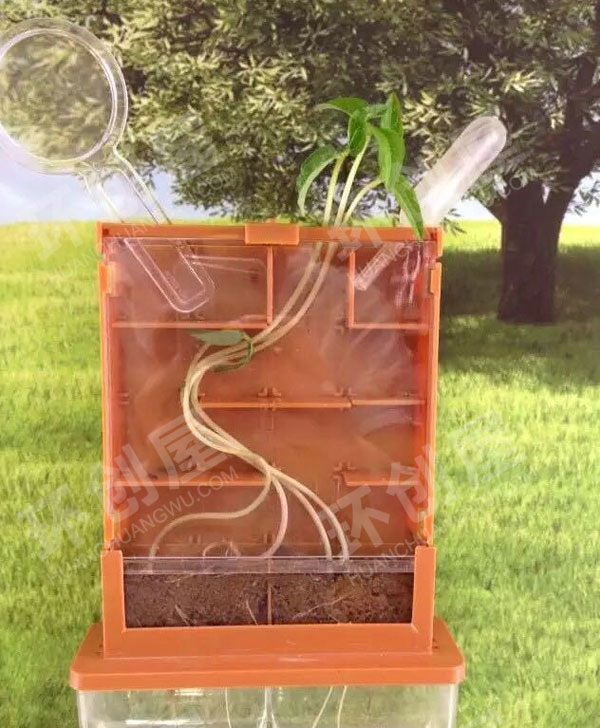 幼儿园科学区植物迷宫大战图片