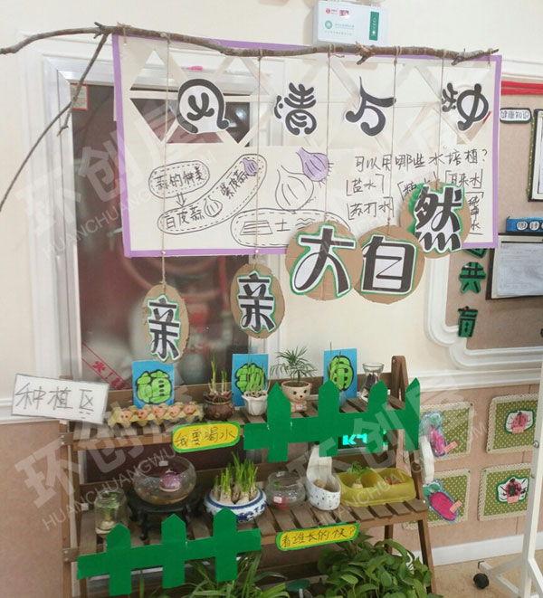 幼儿园走廊植物角图片