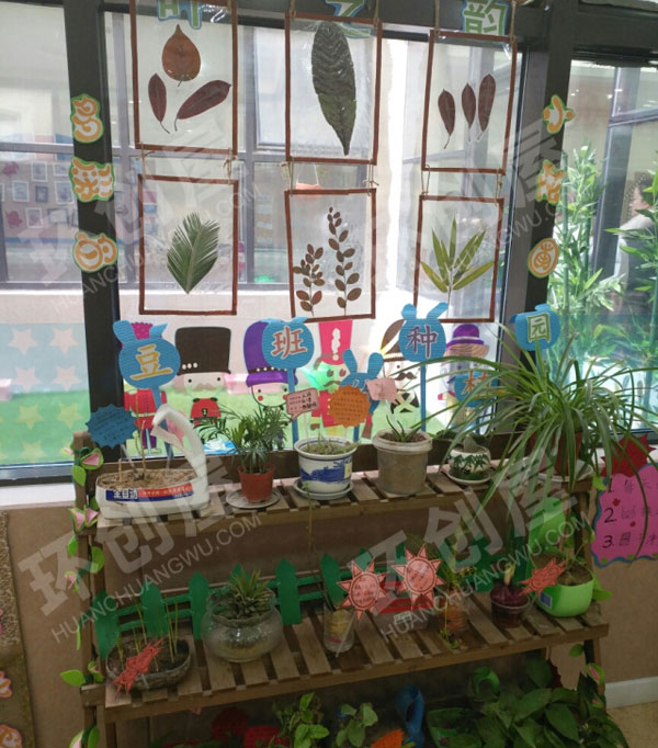 幼儿园走廊植物角图片
