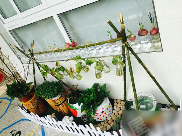 幼儿园走廊间植物角布置图片