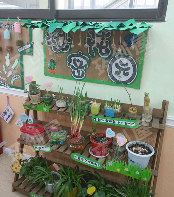 幼儿园走廊植物角图片