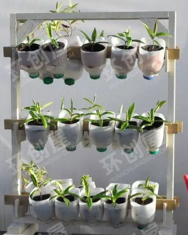 幼儿园户外植物角创建图片