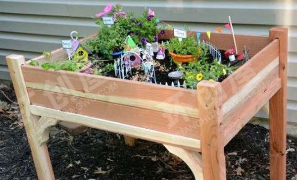 幼儿园户外植物角创建图片