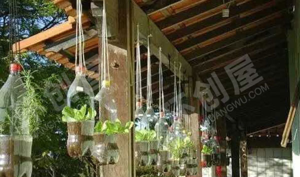 幼儿园户外植物角创建图片