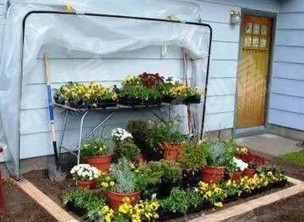 幼儿园户外植物角创建图片