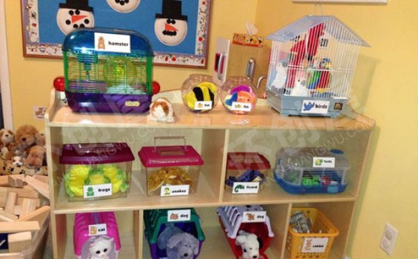 幼儿园角色游戏宠物店图片