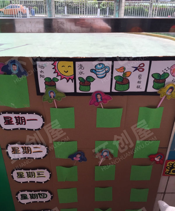幼儿园科学区植物生长图片