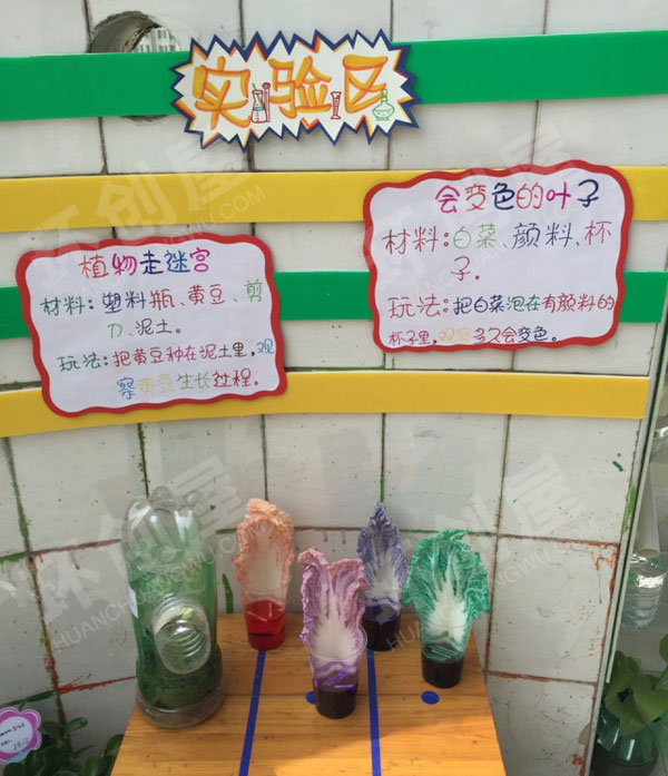 幼儿园科学区植物生长图片