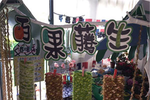 幼儿园科学区植物生长图片6张