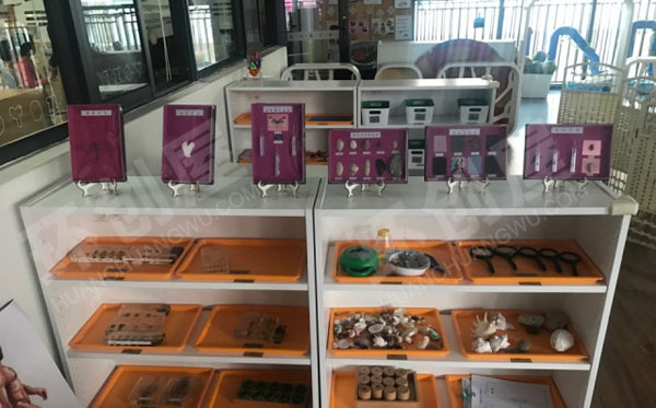 幼儿园区角活动科学区图片