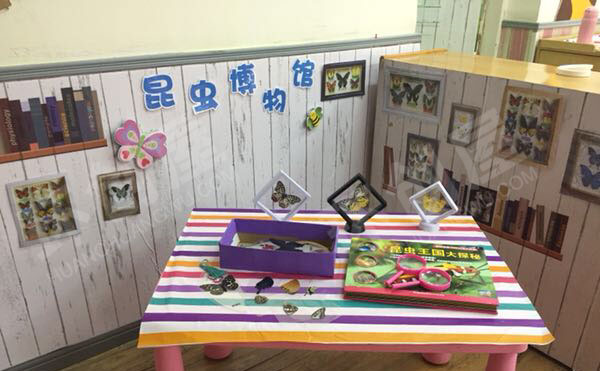 幼儿园科学区昆虫博物馆图片