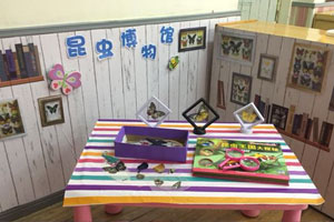 幼儿园科学区昆虫博物馆图片5张
