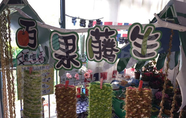 幼儿园科学区植物生长图片