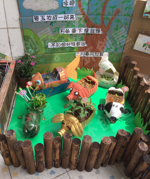 幼儿园科学区植物生长图片