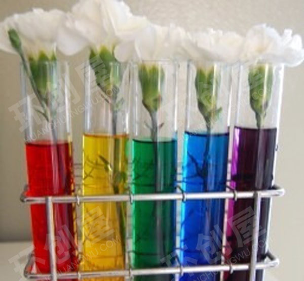 幼儿园科学区种种彩色的花儿图片
