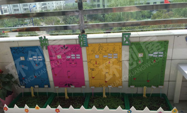 幼儿园科学区植物生长图片
