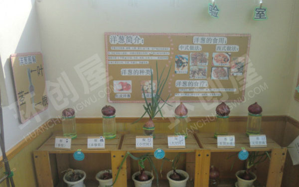 幼儿园科学区种植角洋葱图片