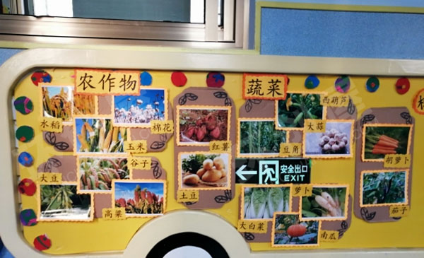 幼儿园丰收的季节主题墙图片