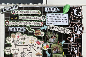 幼儿园墙面布置迷人的小树林图片5张