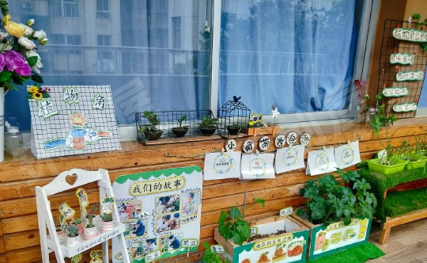 幼儿园户外春季植物角环创图片