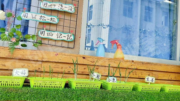 幼儿园户外春季植物角环创图片