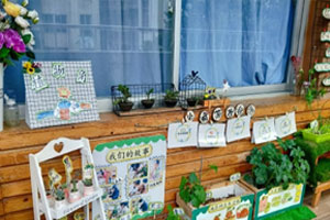 幼儿园户外春季植物角环创图片8张