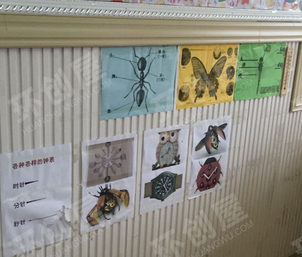 幼儿园科学区环境创设图片