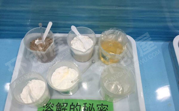 幼儿园科学区各种科学实验环创图片