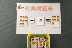 幼儿园益智区松鼠喂坚果环创图片