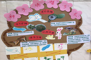 幼儿园种子的秘密主题墙图片4张