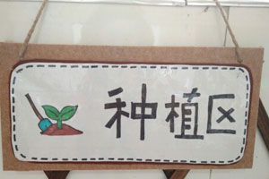 幼儿园自然角吊牌吊饰图片5张
