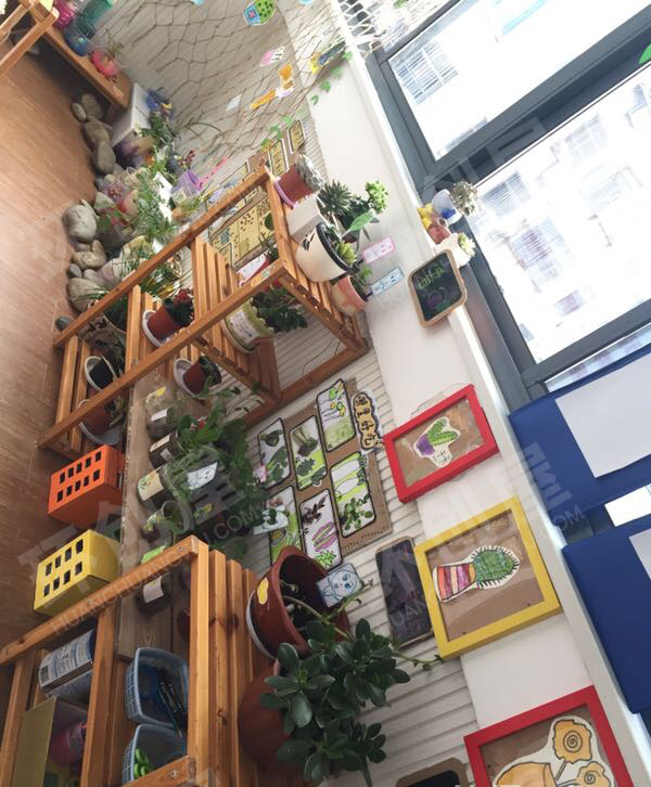 幼儿园走廊自然角图片