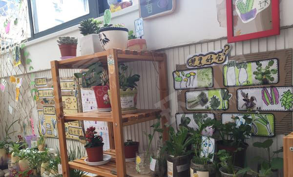 幼儿园走廊自然角图片