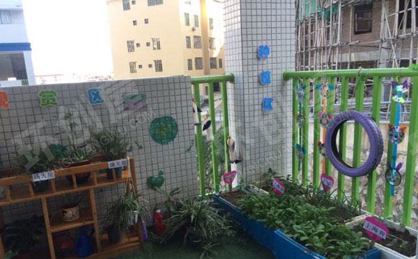 幼儿园户外环创秋天的自然角图片