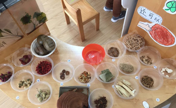 幼儿园有趣的中草药科学区图片