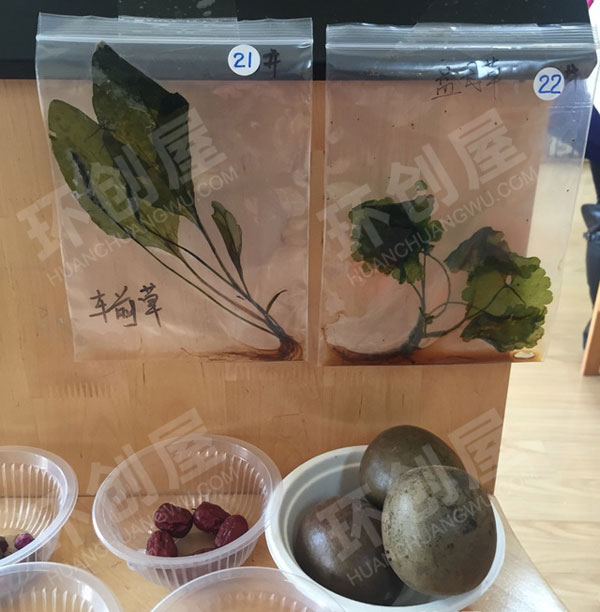 幼儿园有趣的中草药科学区图片