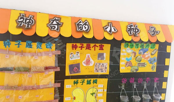 幼儿园主题墙神奇的小种子图片
