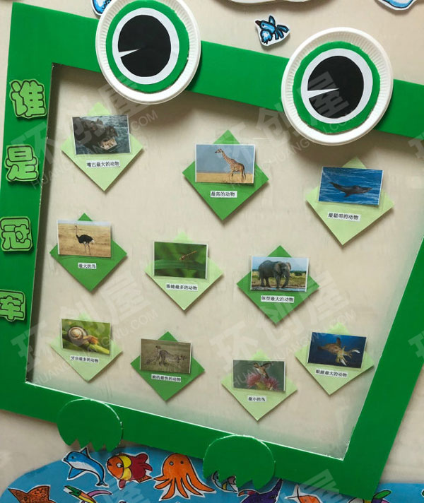 幼儿园主题墙动物大世界图片