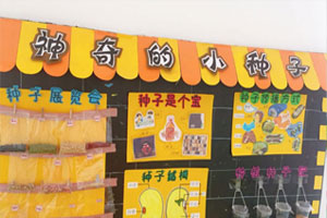 幼儿园主题墙神奇的小种子图片5张
