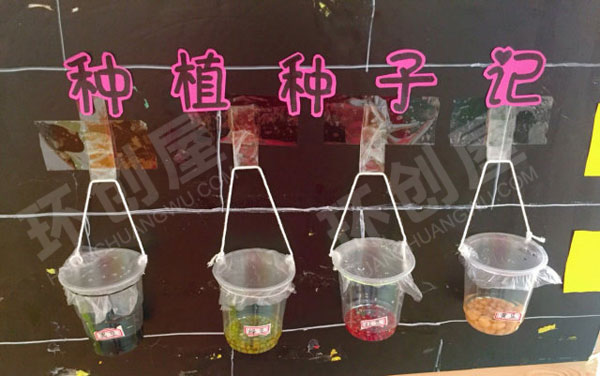 幼儿园主题墙神奇的小种子图片