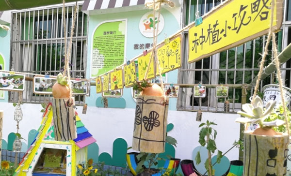 幼儿园户外环创种植微景观图片