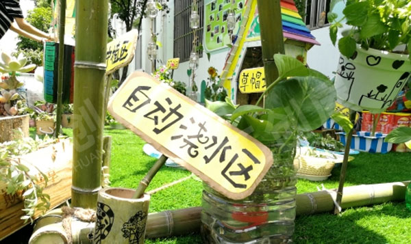 幼儿园户外环创种植微景观图片