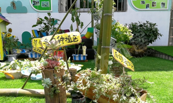 幼儿园户外环创种植微景观图片