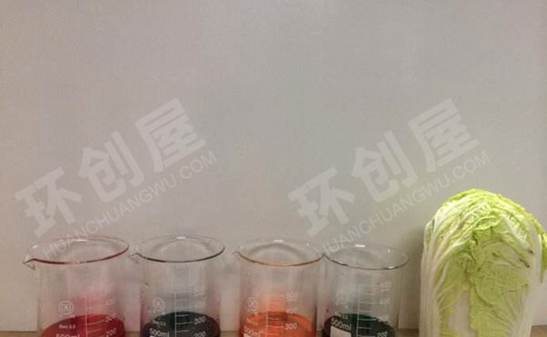 幼儿园科学区会变色的白菜图片